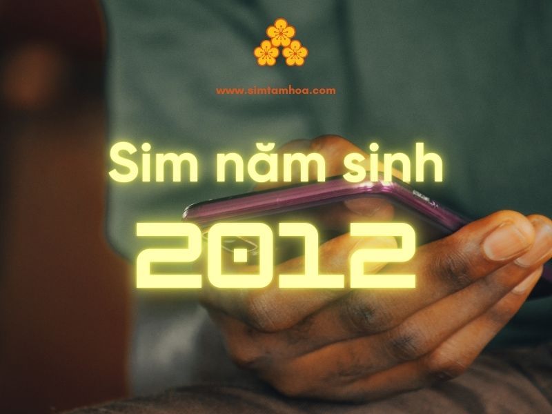 Sim năm sinh 2012