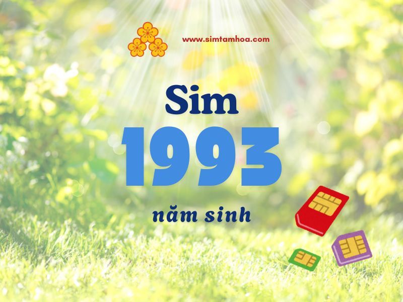 Sim năm sinh 1993