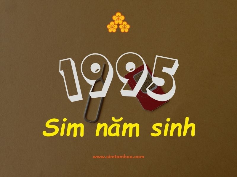 Sim năm sinh 1995