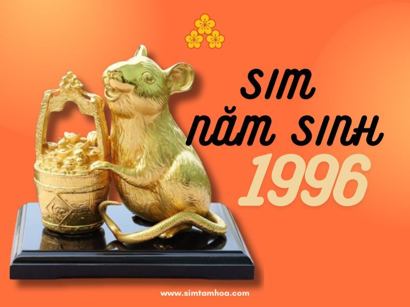 sim năm sinh 1996