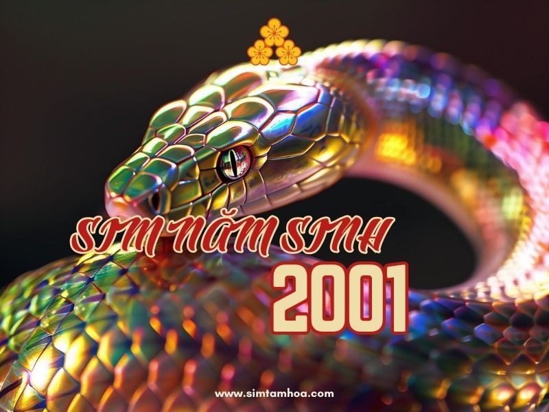 sim năm sinh 2001