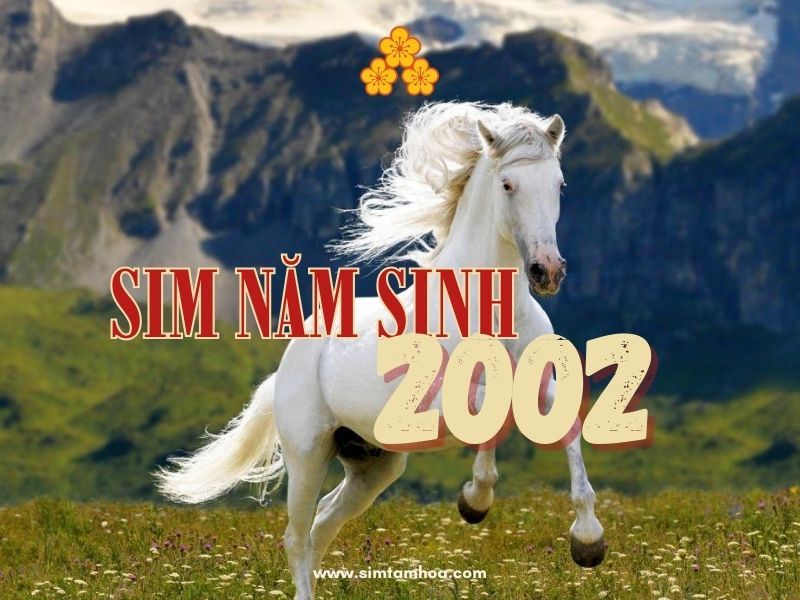 sim năm sinh 2002