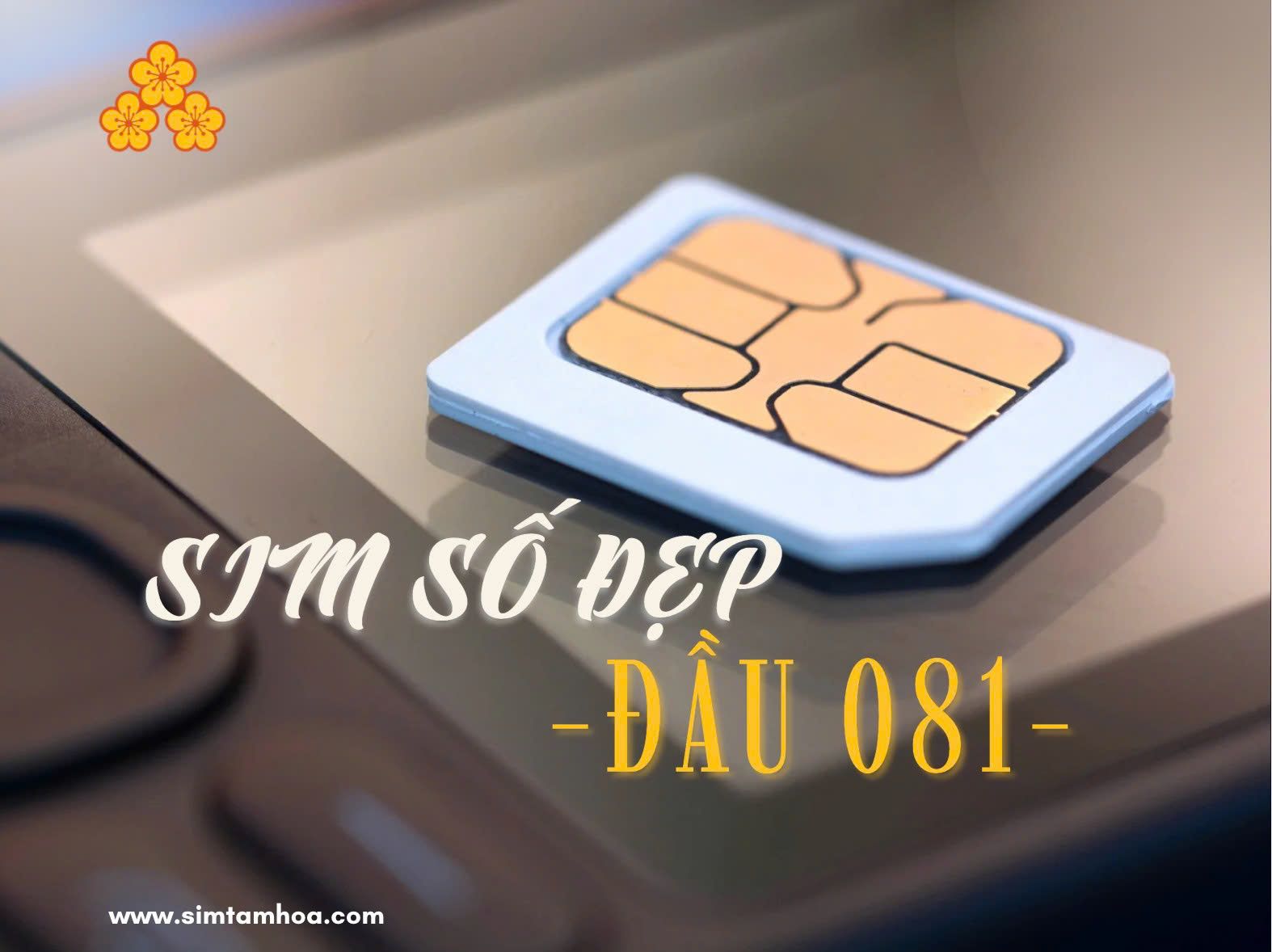 Sim số đẹp đầu 081