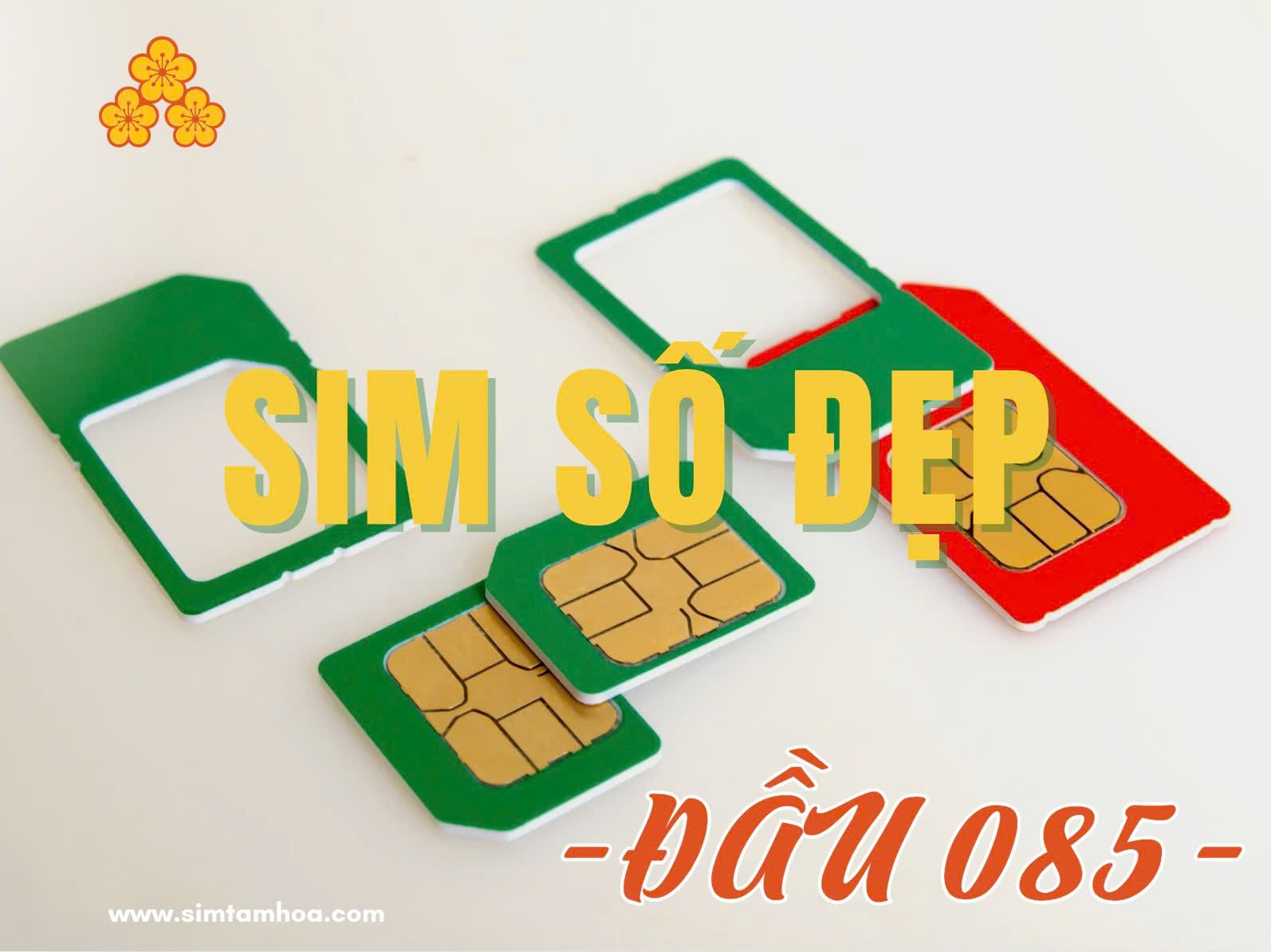 sim-dau-so-085.jpg