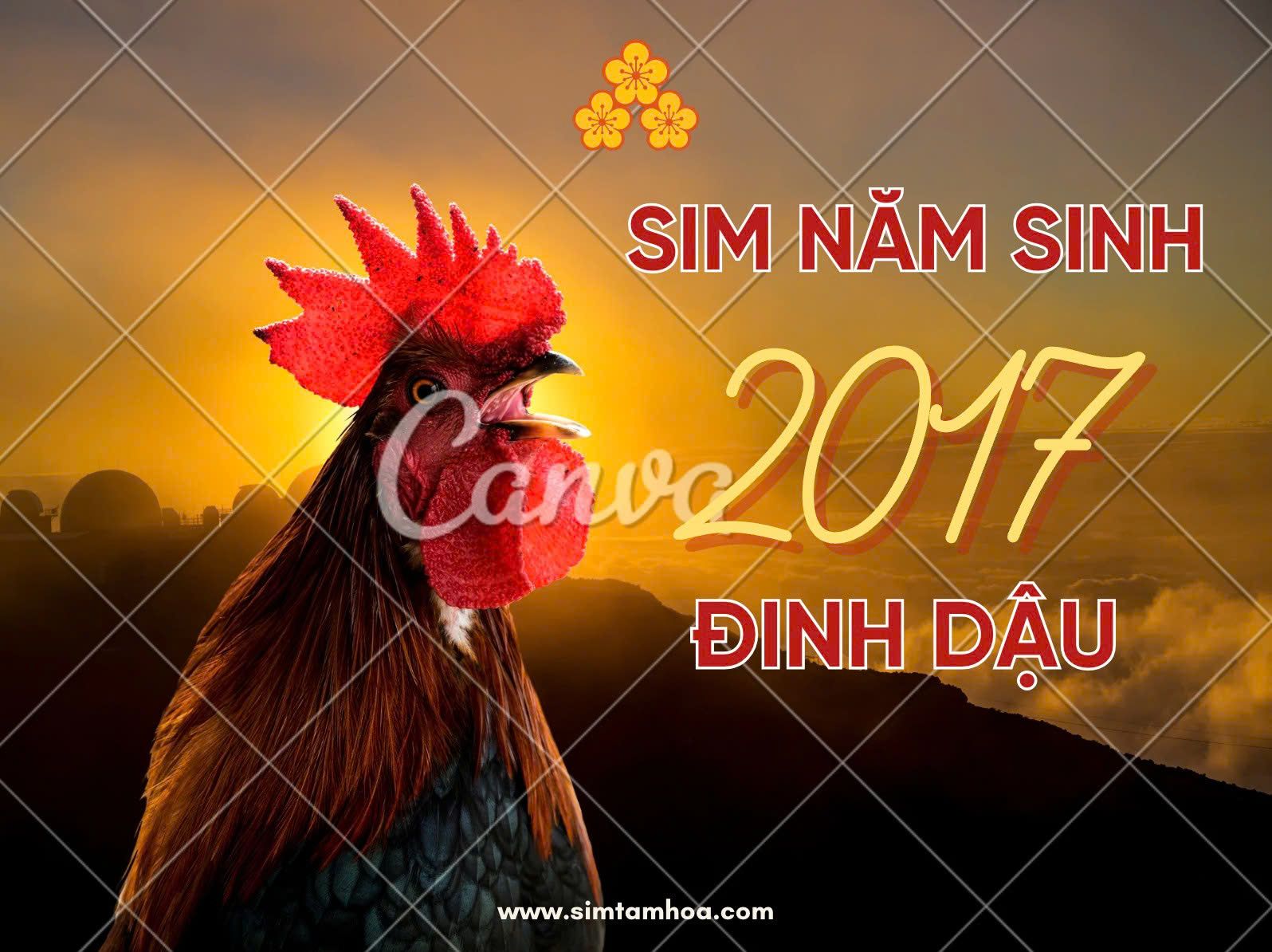 2017.jpg