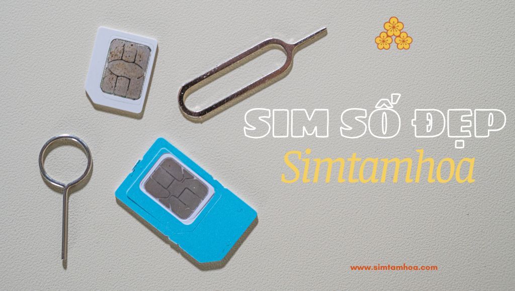 Cách chọn được sim số đẹp ngay tại nhà
