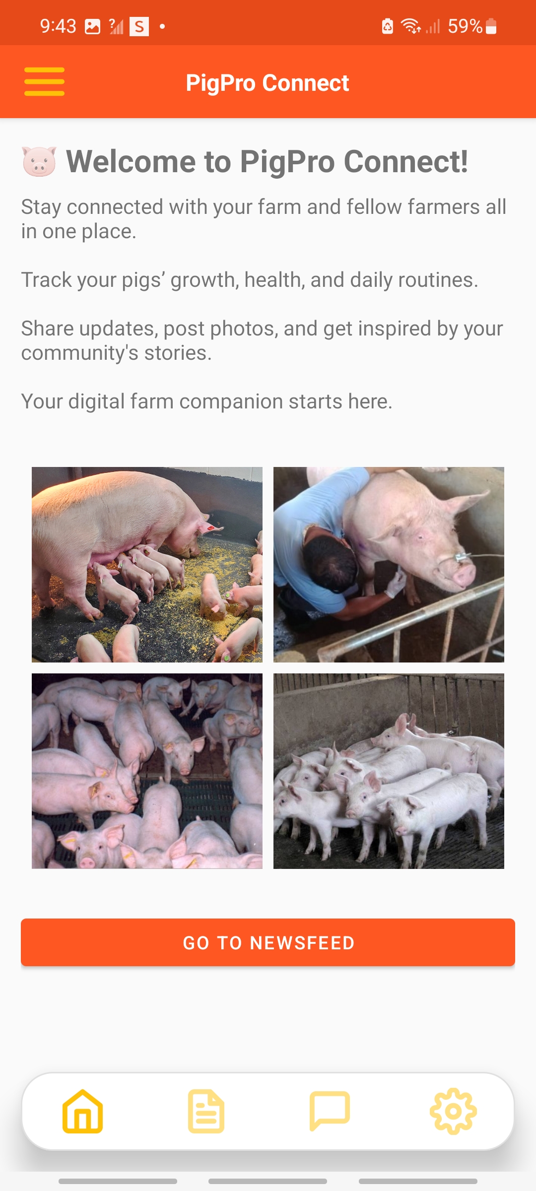 PigPro Screenshot 1