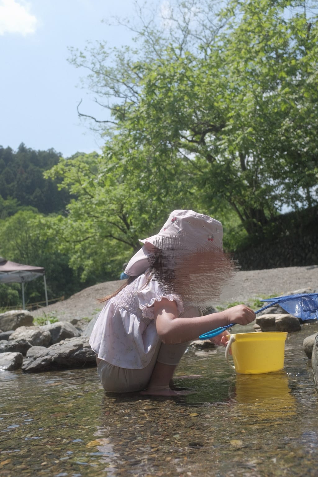 浅瀬でバケツと網を使って遊ぶ子どもの様子