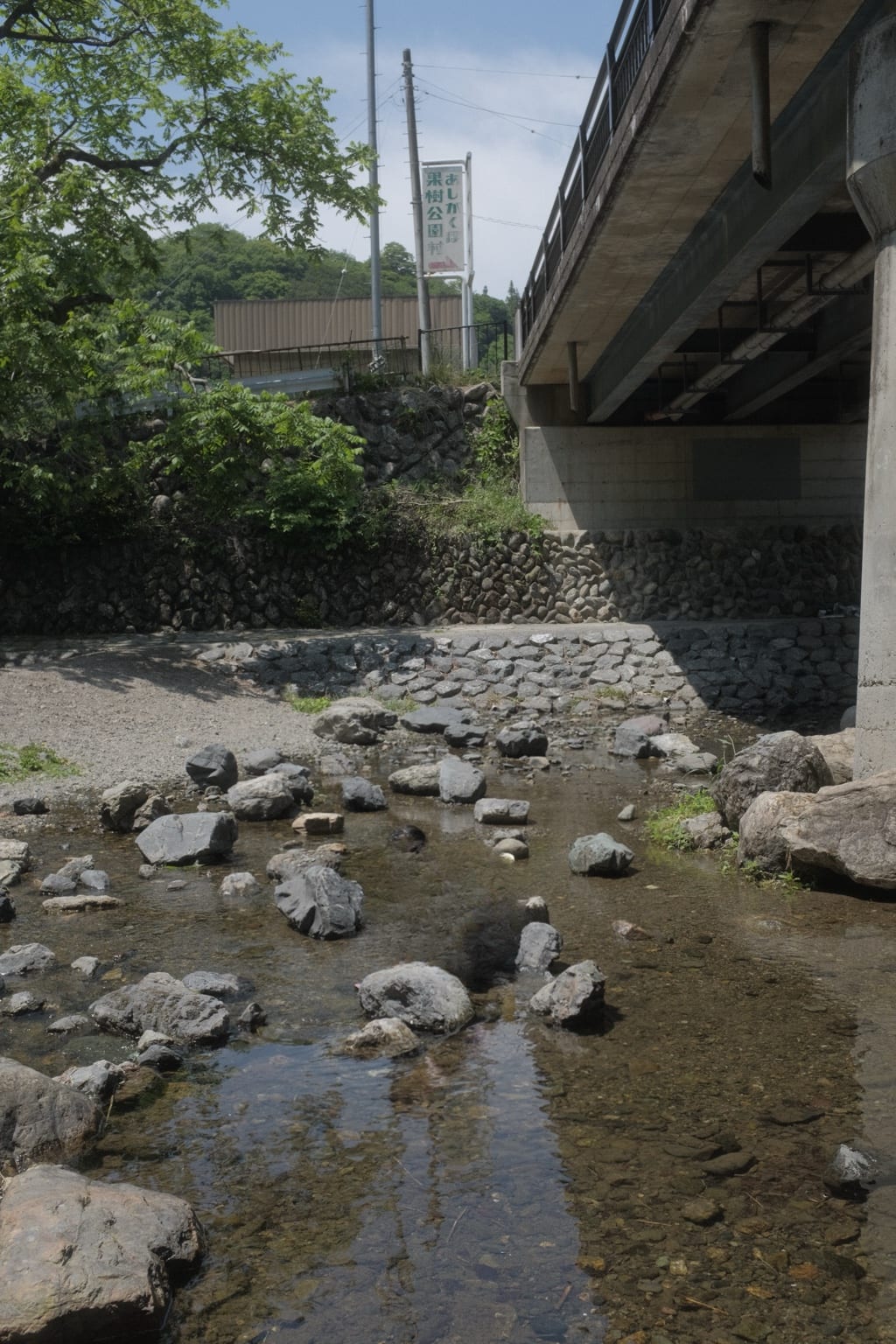 橋の下近くの浅い川と木陰が広がる風景