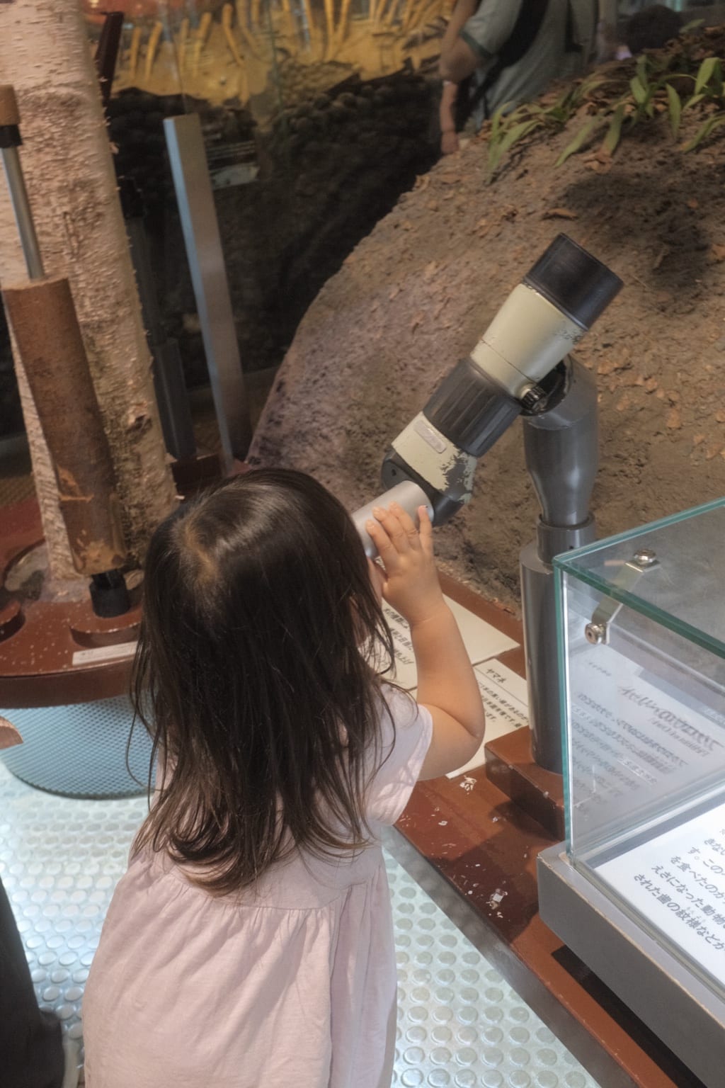 展示コーナーの望遠鏡をのぞき込む子ども