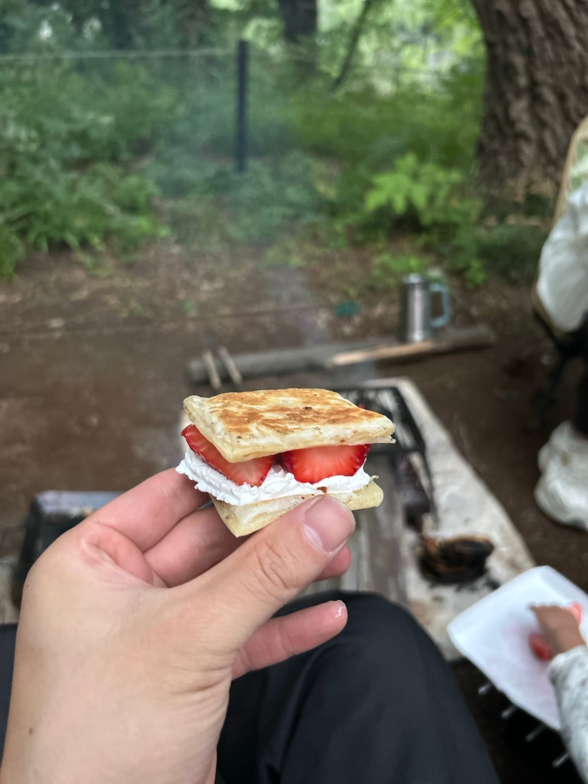 焚き火まわりで作ったいちごクリームのキャンプスイーツ