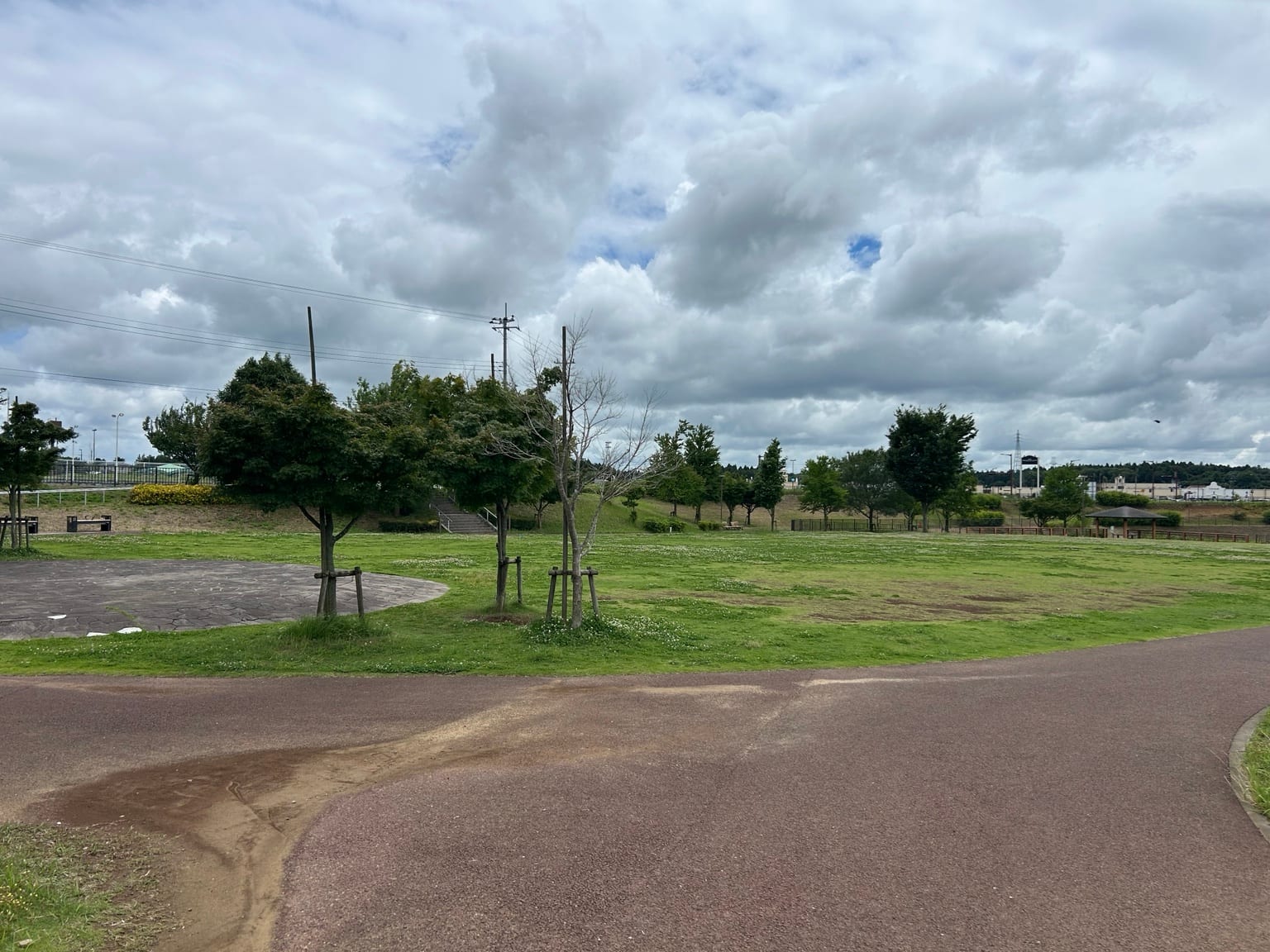 ふれあいの杜公園の芝生広場と園路