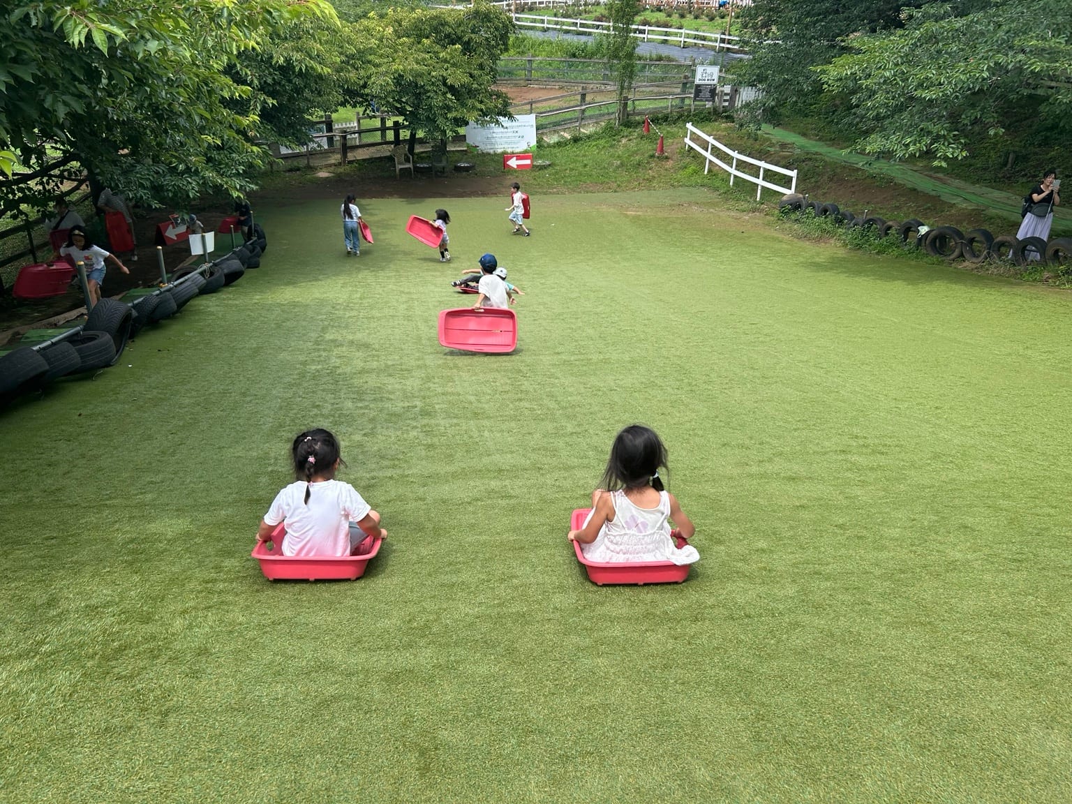 赤いソリに乗って芝すべりをする長女と次女