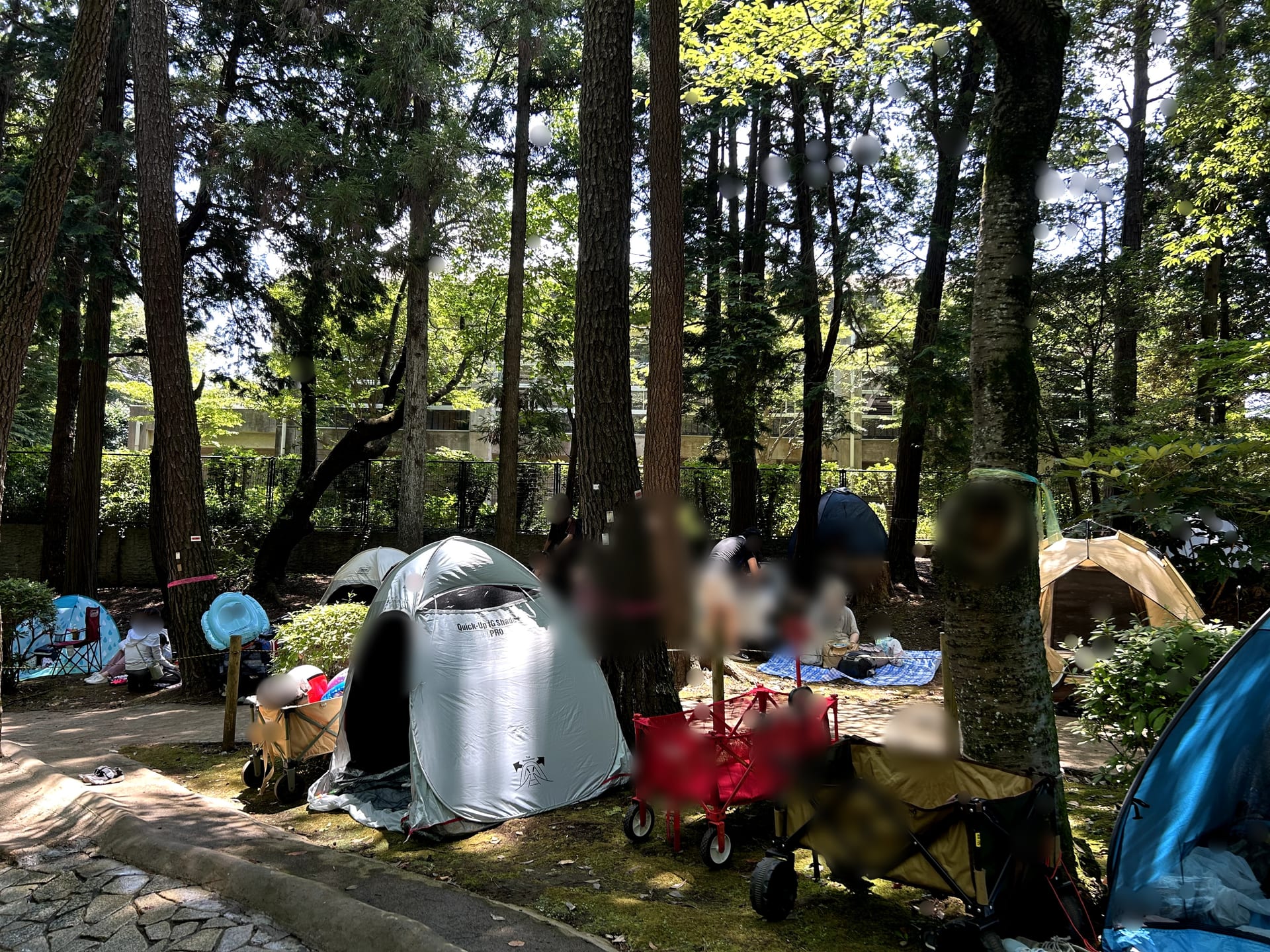 木陰にたくさんのテントが並ぶじゃぶじゃぶ池周辺