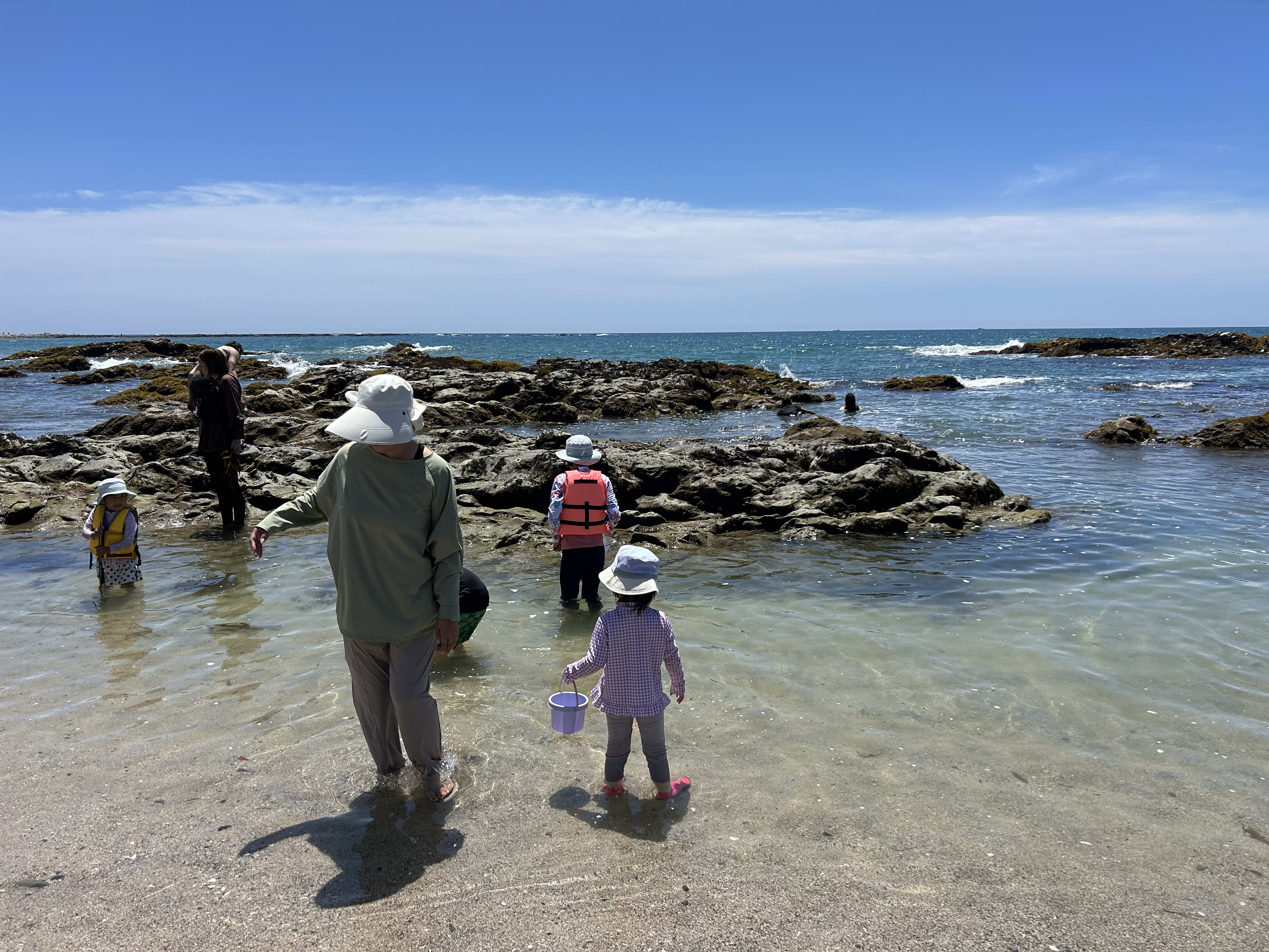 岩場で磯遊びをする城崎海水浴場の様子