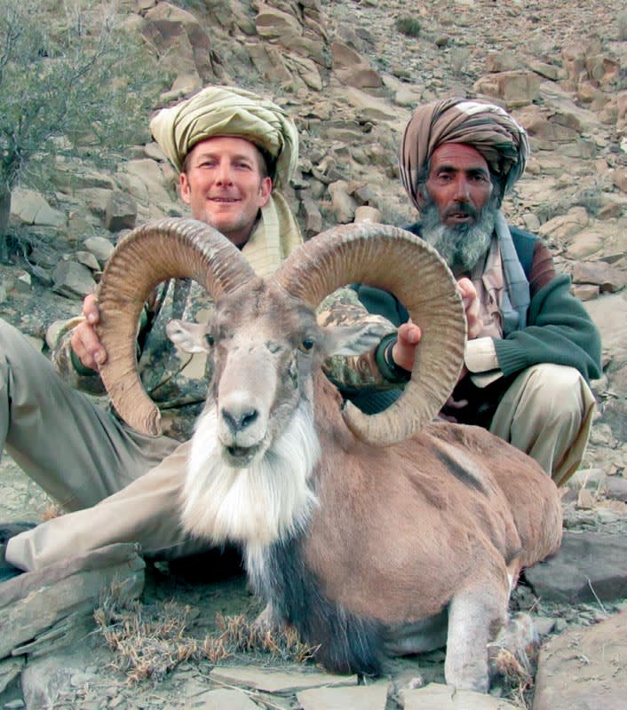 Afghan urial