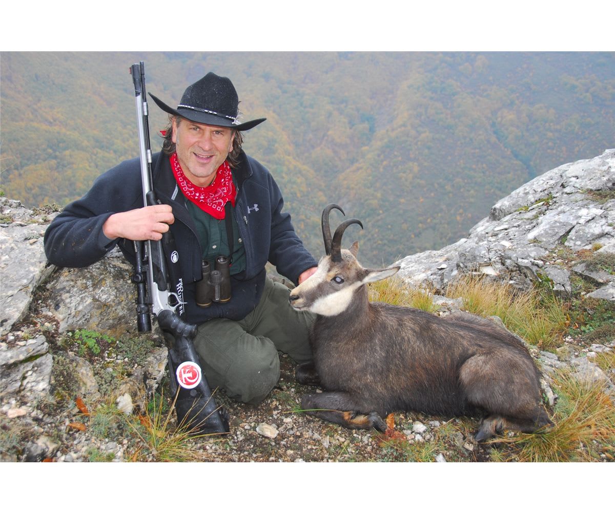 Balkan chamois