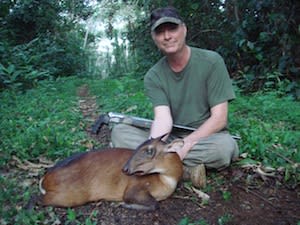 Bay duiker