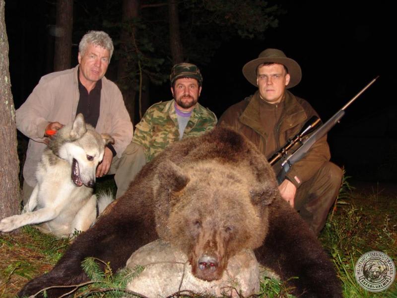 Brown bear