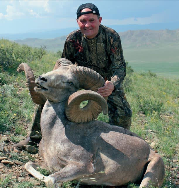 Hangai argali