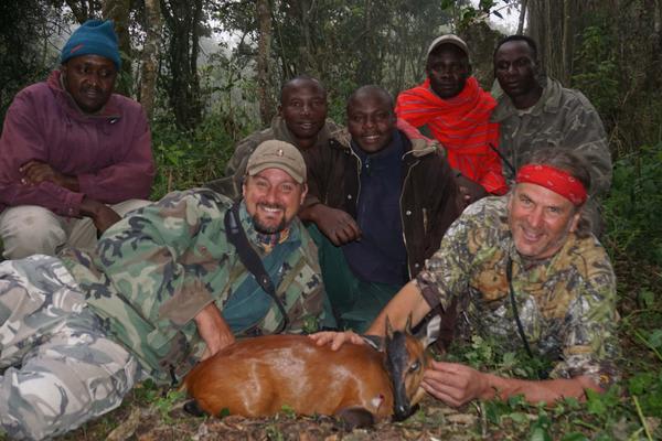 Harvey's red duiker