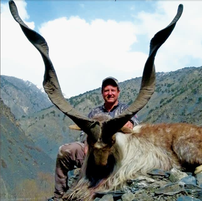 Kashmir markhor