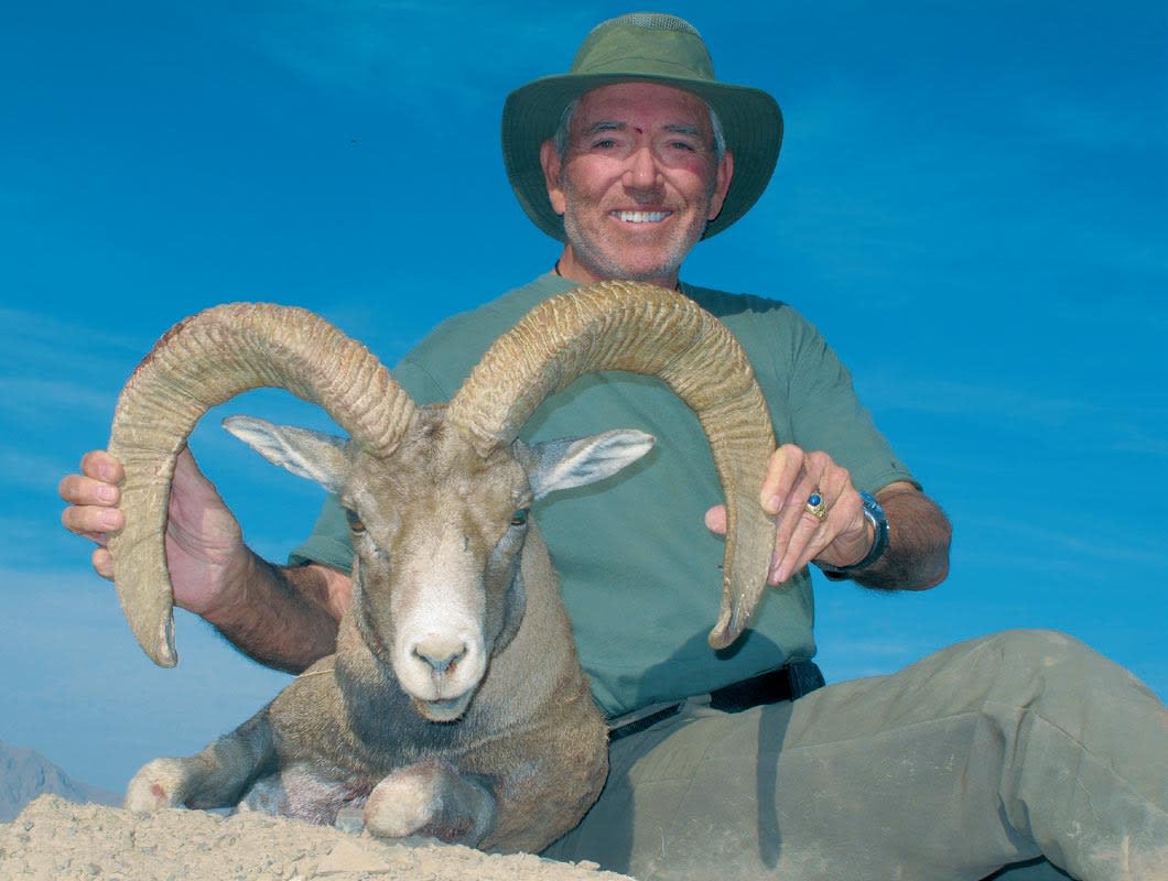 Kerman sheep