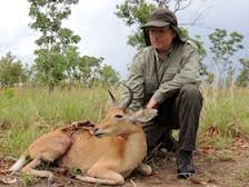 Nigerian bohor reedbuck