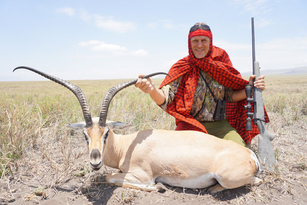 Robert's gazelle