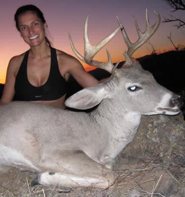 Coues' white-tailed deer
