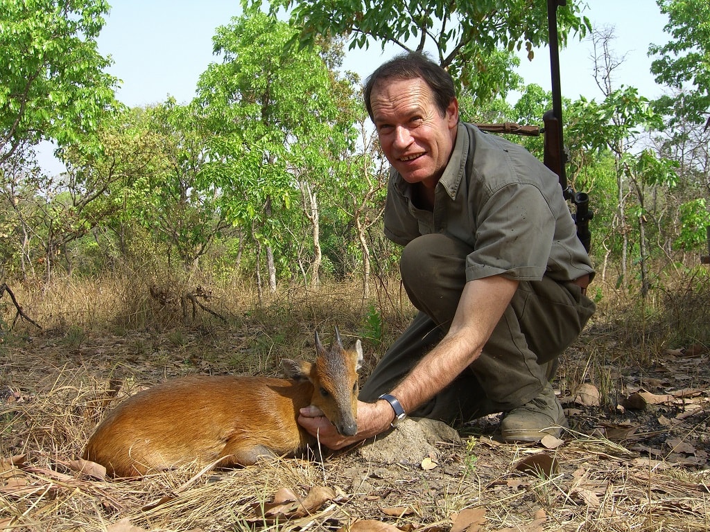 Red-flanked duiker