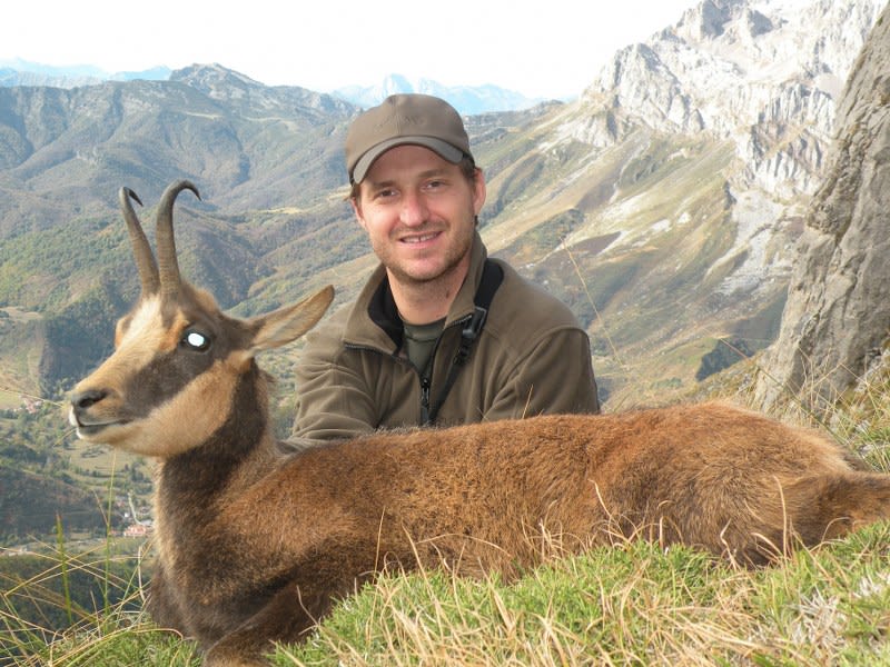 Cantabrian chamois