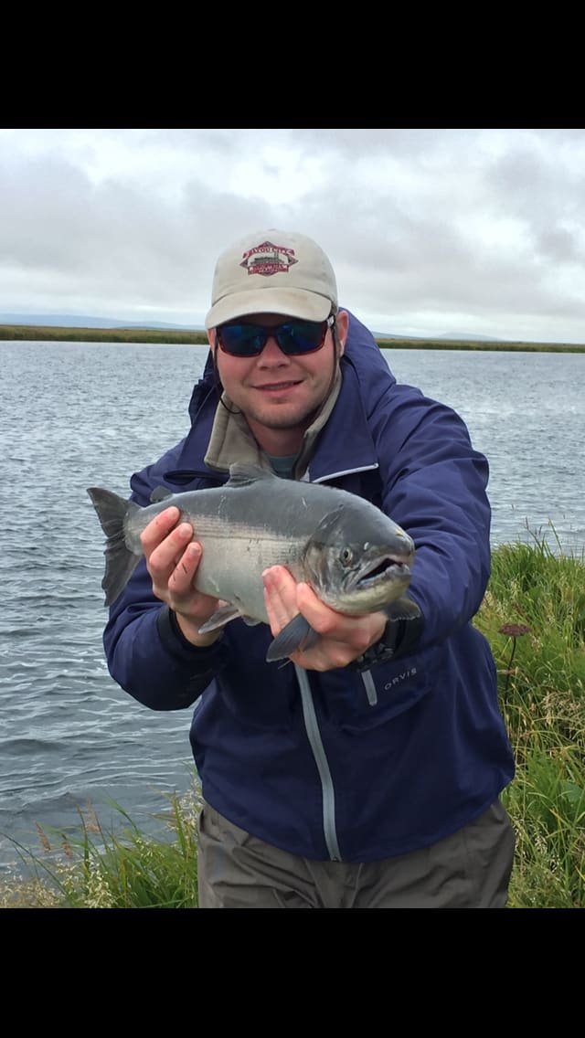 Chinook salmon