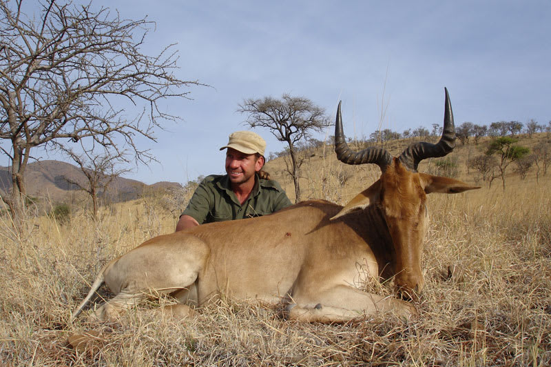 Coke's hartebeest