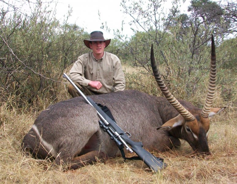 Common waterbuck