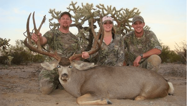 Desert mule Deer