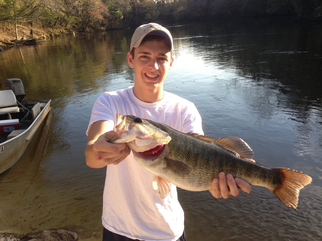 Shoal bass