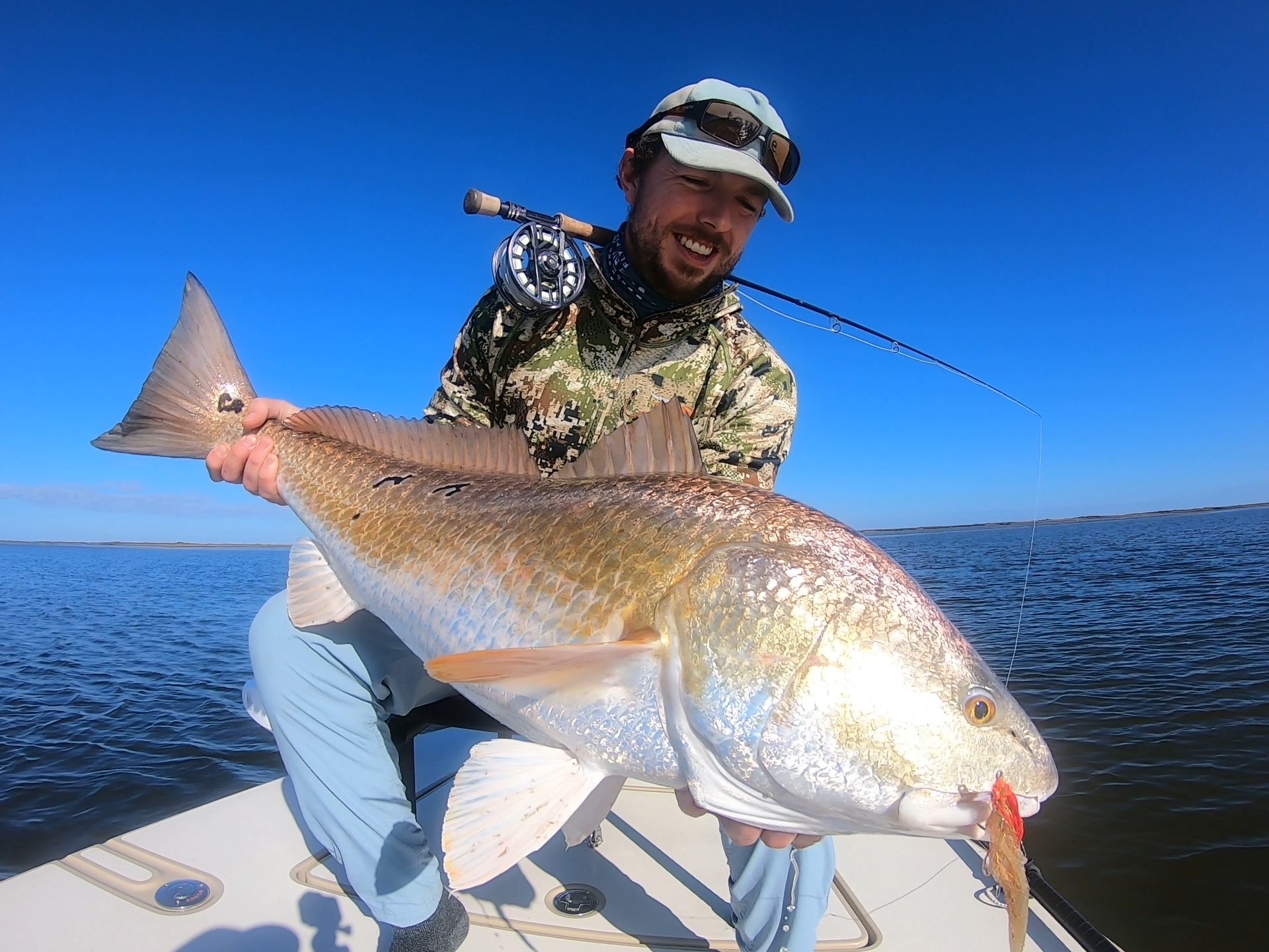 Red drum