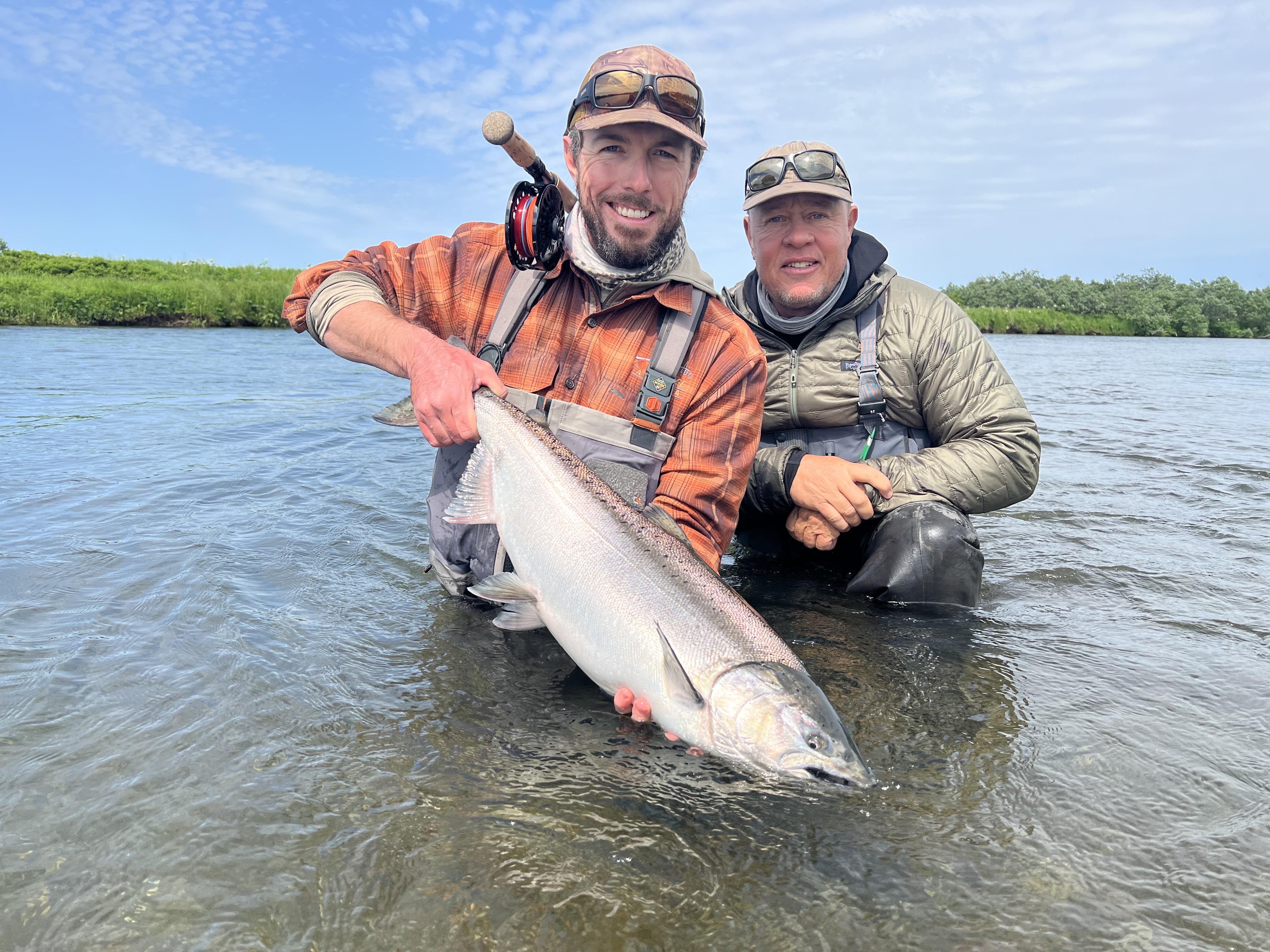 Chinook salmon