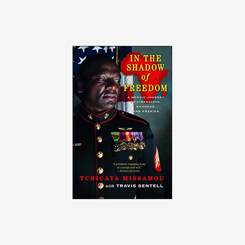 In the Shadow of Freedom: A Heroic Journey to Liberation, Manhood, and America