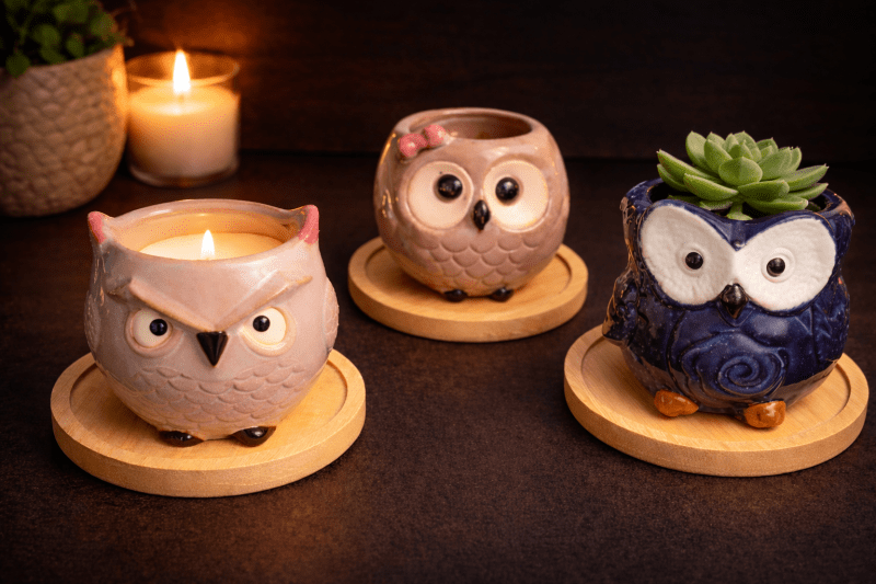 Owl-Shaped Ceramic Succulent Pots with Bamboo Coasters