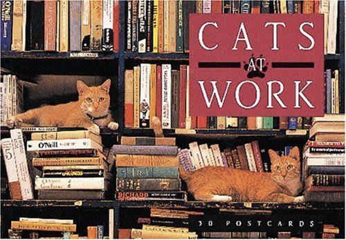 Cats at Work