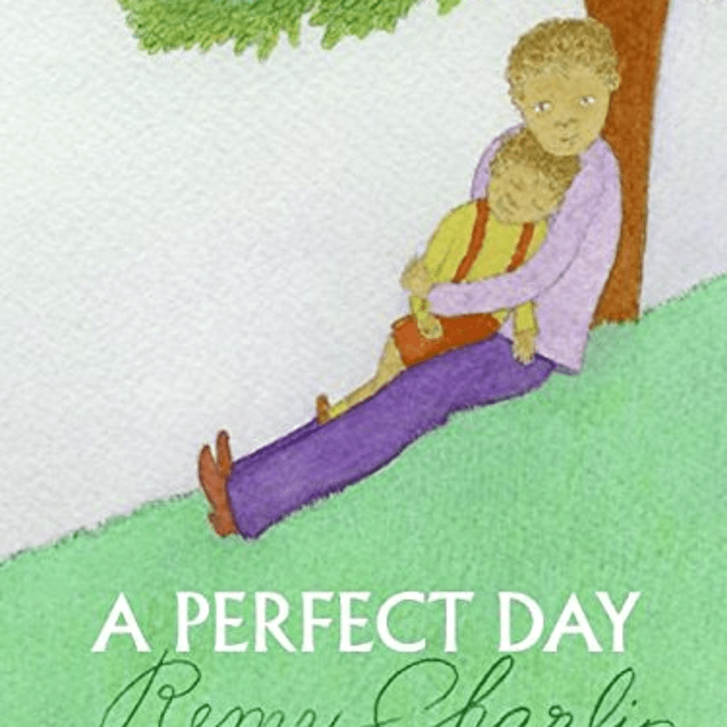A Perfect Day