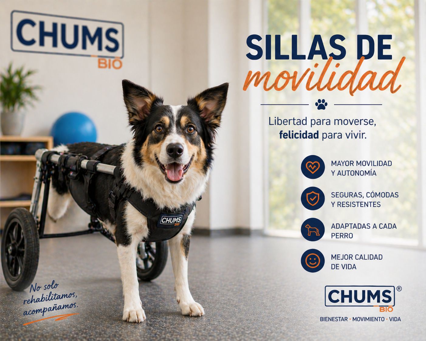 Movilidad asistida para mascotas