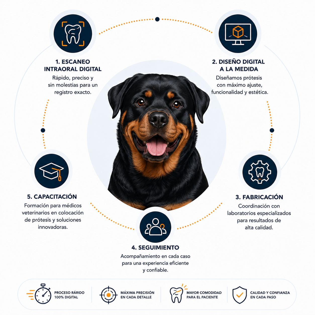 Escaneo intraoral digital para prótesis dentales veterinarias