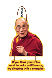 if you think you re too small to make a difference try sleeping with a mosqutito