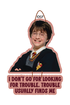 I Dont Go For Looking For Trouble . Trouble Usually Finds Me