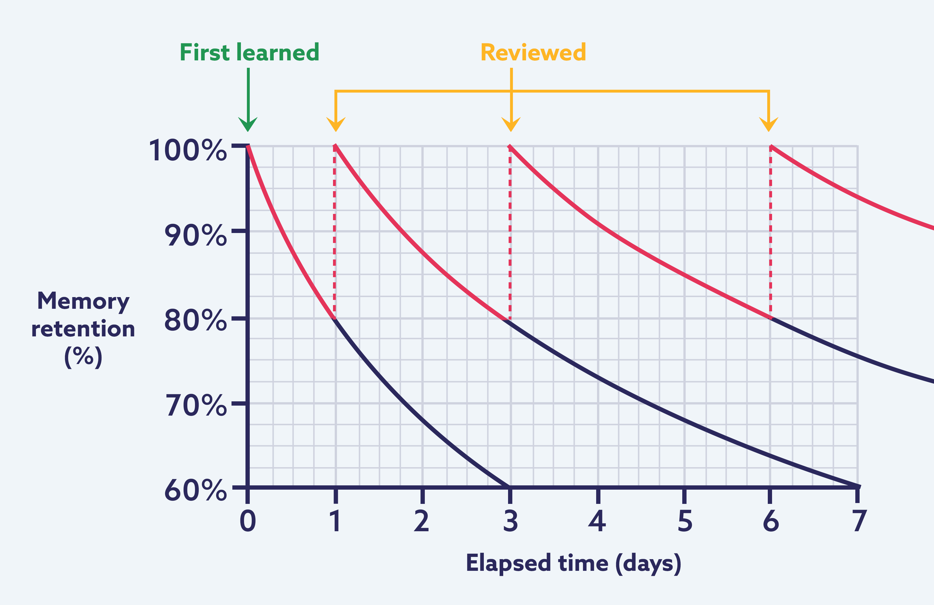 How the forgetting curve works