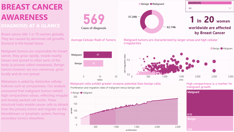 Data-for-Good: Breast Cancer Awareness — image 1