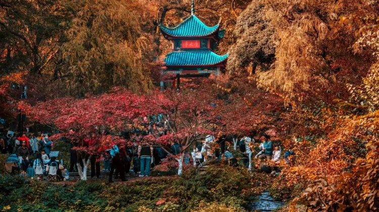 El vibrante Hunan te llama: Un Tour en Grupo de 5 días por el Parque Nacional de Zhangjiajie, la Ciudad Antigua de Fenghuang y Changsha